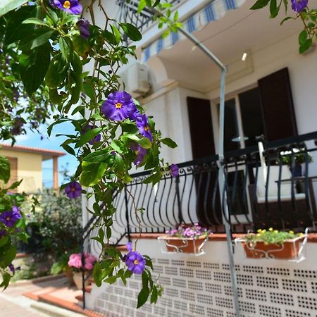 פולה Villa Elisabetta Apartments מראה חיצוני תמונה